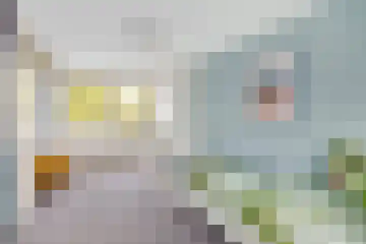 Vellevest 10 Schiedam thumbnail 21