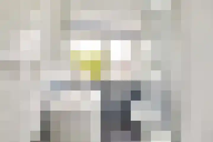 Vellevest 10 Schiedam thumbnail 25