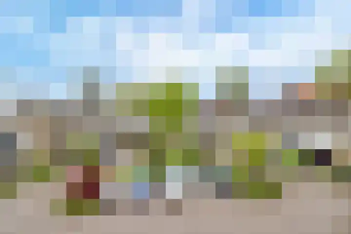 Vellevest 10 Schiedam thumbnail 27