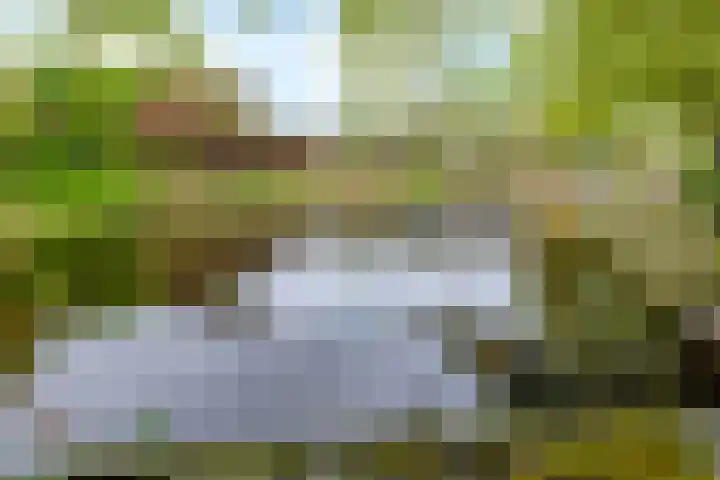 Vellevest 10 Schiedam thumbnail 29