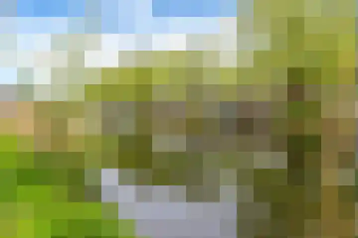 Vellevest 10 Schiedam thumbnail 30