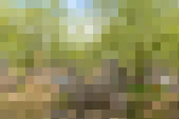 Vellevest 10 Schiedam thumbnail 31