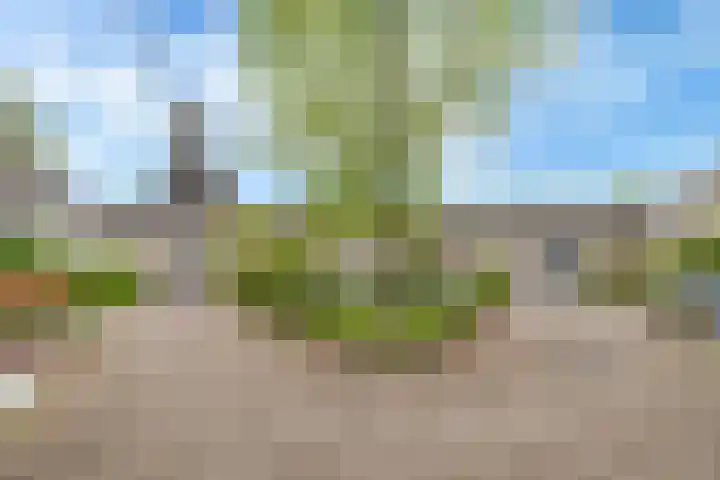 Vellevest 10 Schiedam thumbnail 32
