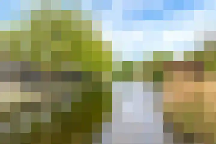 Vellevest 10 Schiedam thumbnail 33