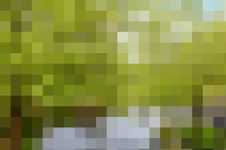 Vellevest 10 Schiedam thumbnail 34