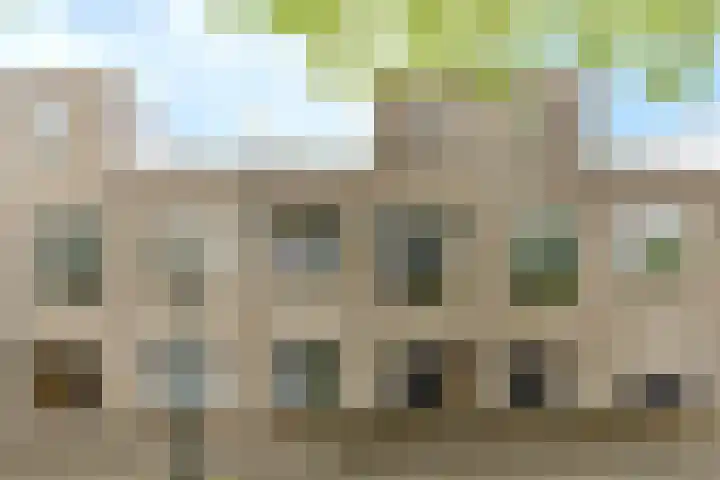 Vellevest 10 Schiedam thumbnail 41