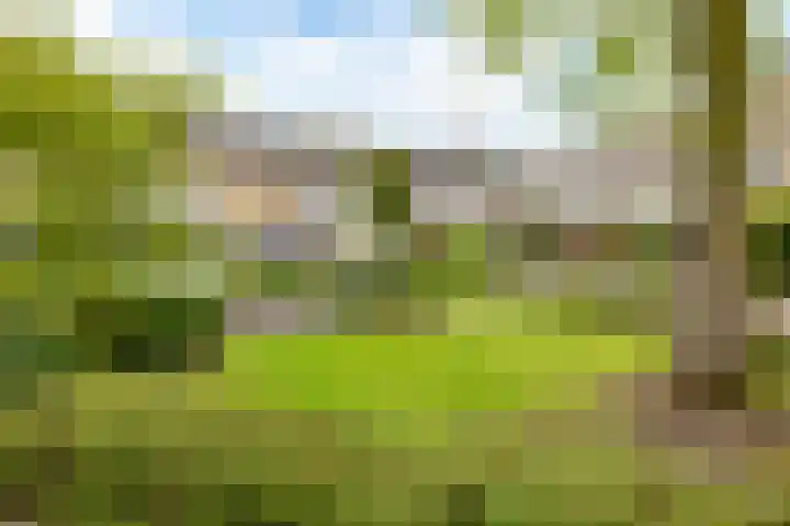 Vellevest 10 Schiedam thumbnail 5