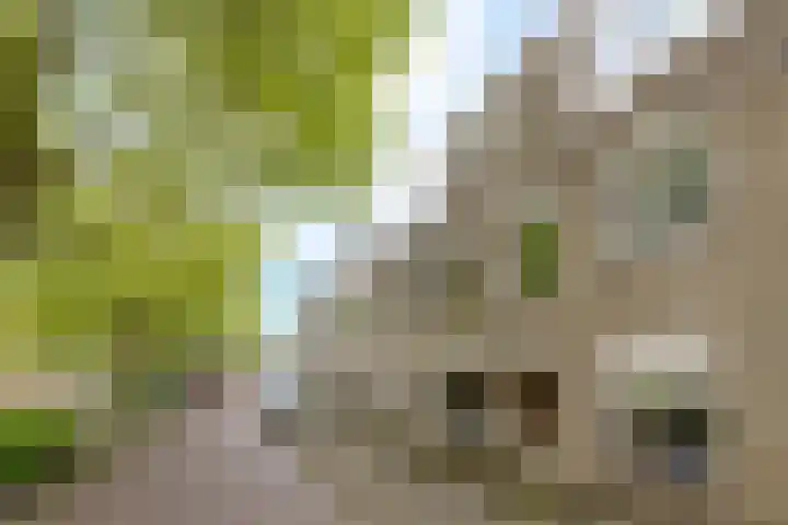 Vellevest 10 Schiedam thumbnail 6