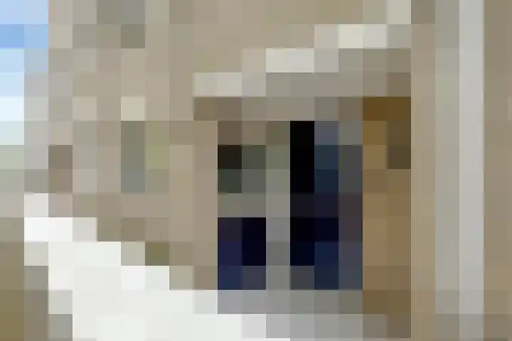 Vellevest 10 Schiedam thumbnail 7
