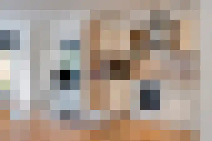Vellingenhoef 72 Tilburg thumbnail 12