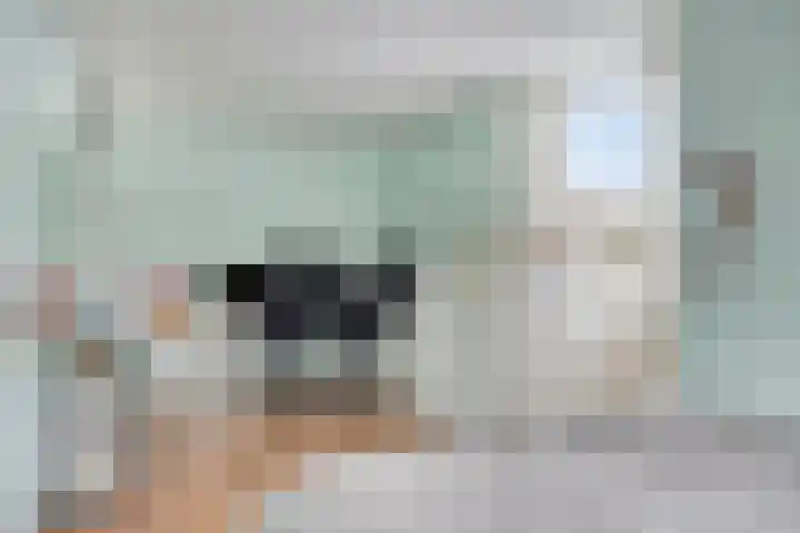 Vellingenhoef 72 Tilburg thumbnail 16