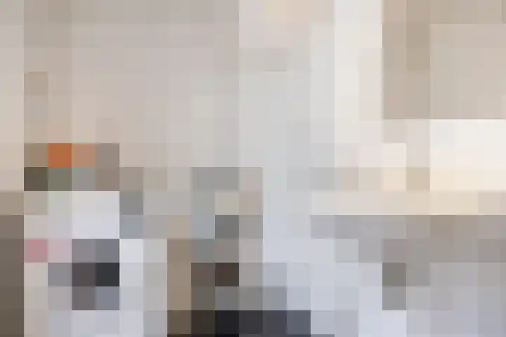 Vellingenhoef 72 Tilburg thumbnail 22