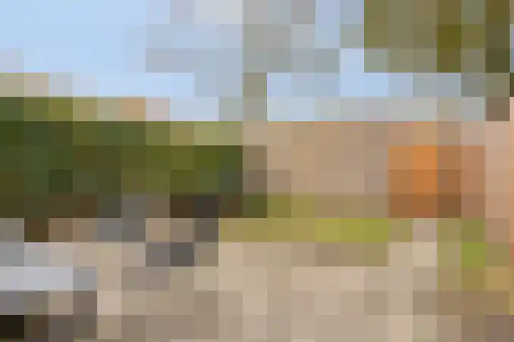Vellingenhoef 72 Tilburg thumbnail 26