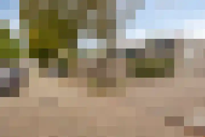 Vellingenhoef 72 Tilburg thumbnail 29