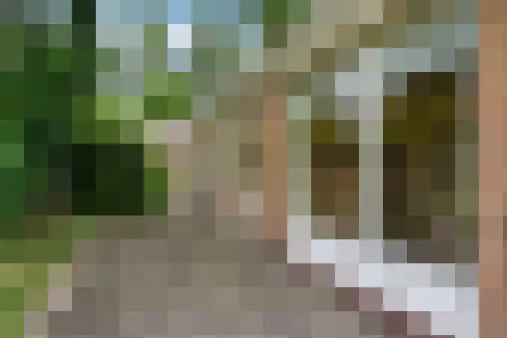 Velmerweg 1 Maren-Kessel thumbnail 20