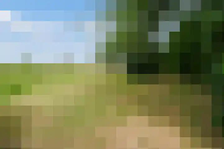 Velmerweg 1 Maren-Kessel thumbnail 23