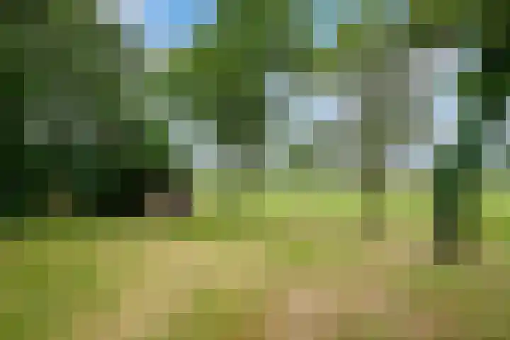 Velmerweg 1 Maren-Kessel thumbnail 25