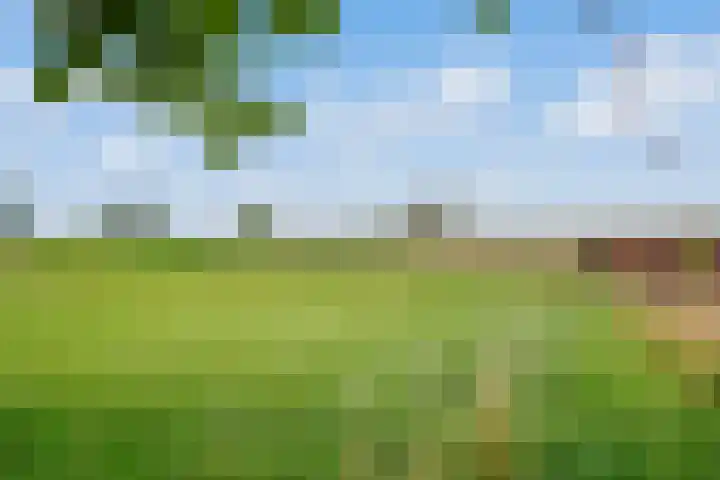 Velmerweg 1 Maren-Kessel thumbnail 26