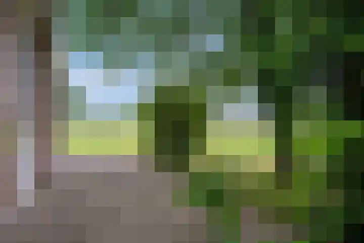 Velmerweg 1 Maren-Kessel thumbnail 27