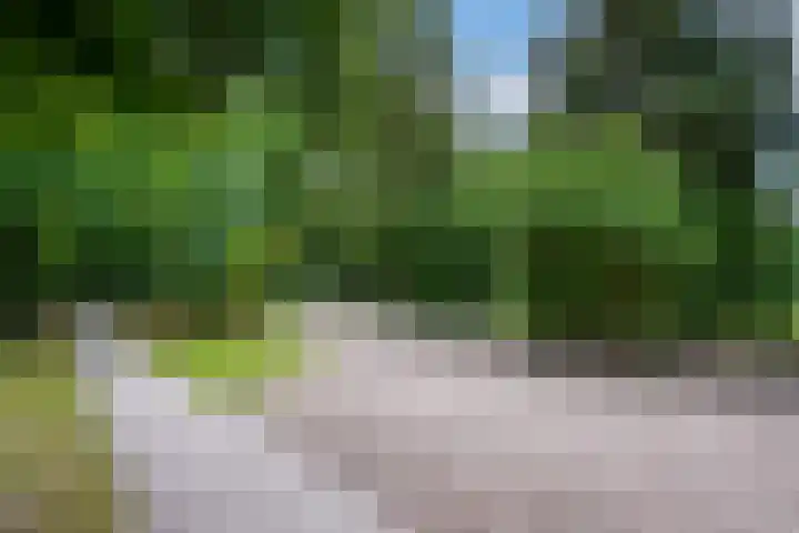 Velmerweg 1 Maren-Kessel thumbnail 28