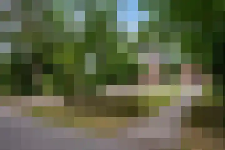 Velmerweg 1 Maren-Kessel thumbnail 31