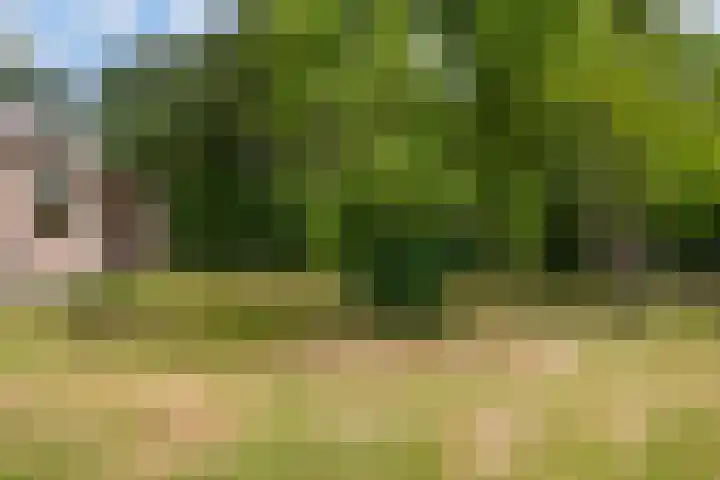 Velmerweg 1 Maren-Kessel thumbnail 32