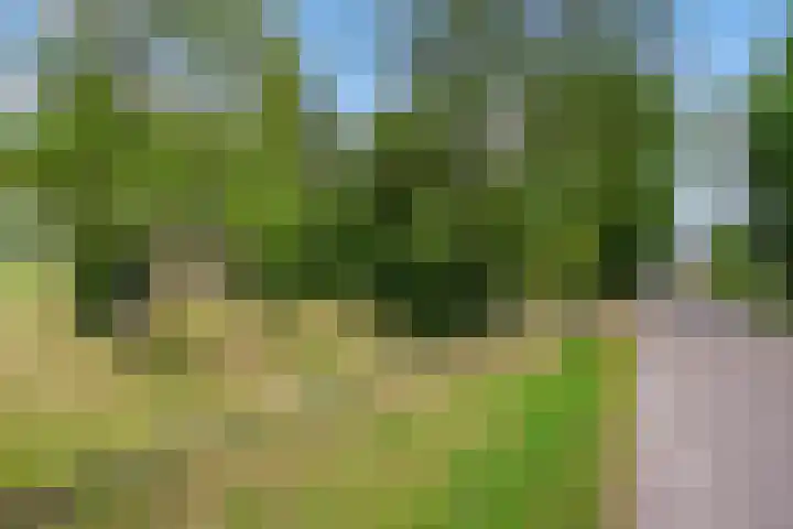 Velmerweg 1 Maren-Kessel thumbnail 33