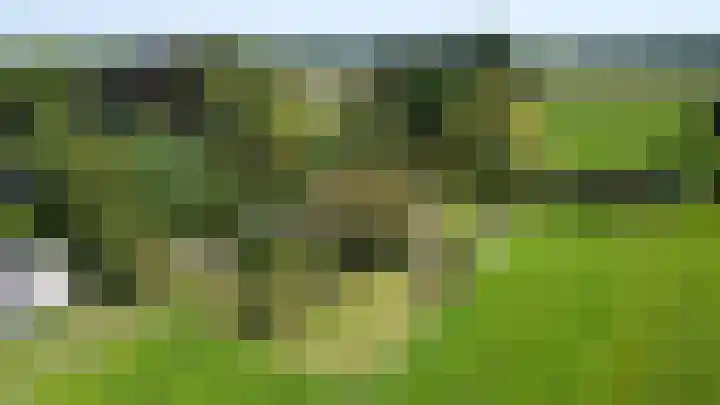 Velmerweg 1 Maren-Kessel thumbnail 35