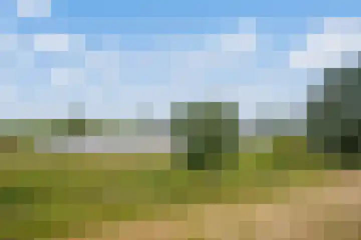 Velmerweg 1 Maren-Kessel thumbnail 37