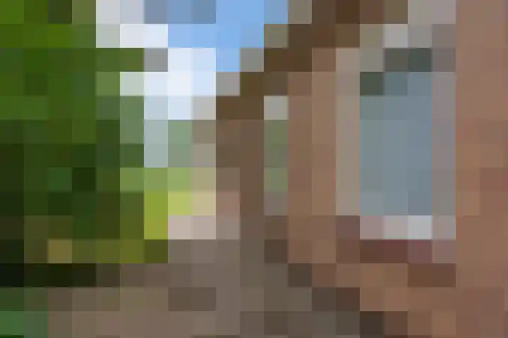 Velmerweg 1 Maren-Kessel thumbnail 5