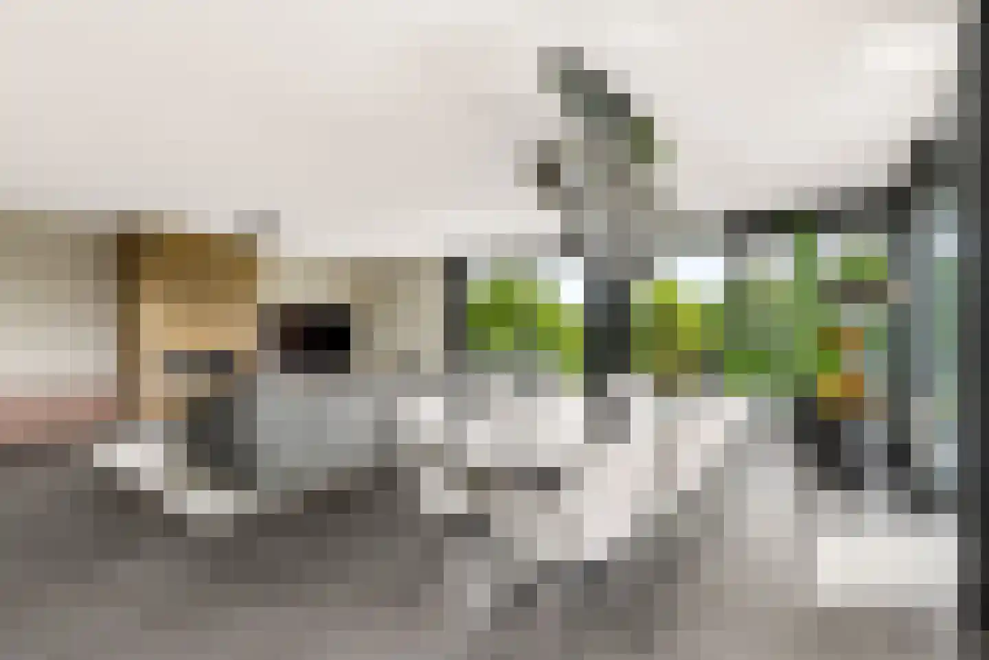 Velmolenweg 143 S Uden thumbnail 18