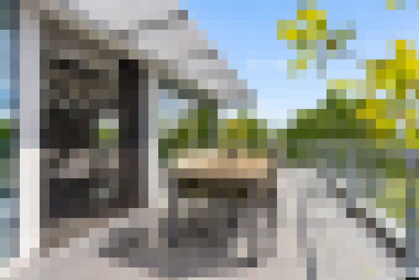 Velmolenweg 143 S Uden thumbnail 38