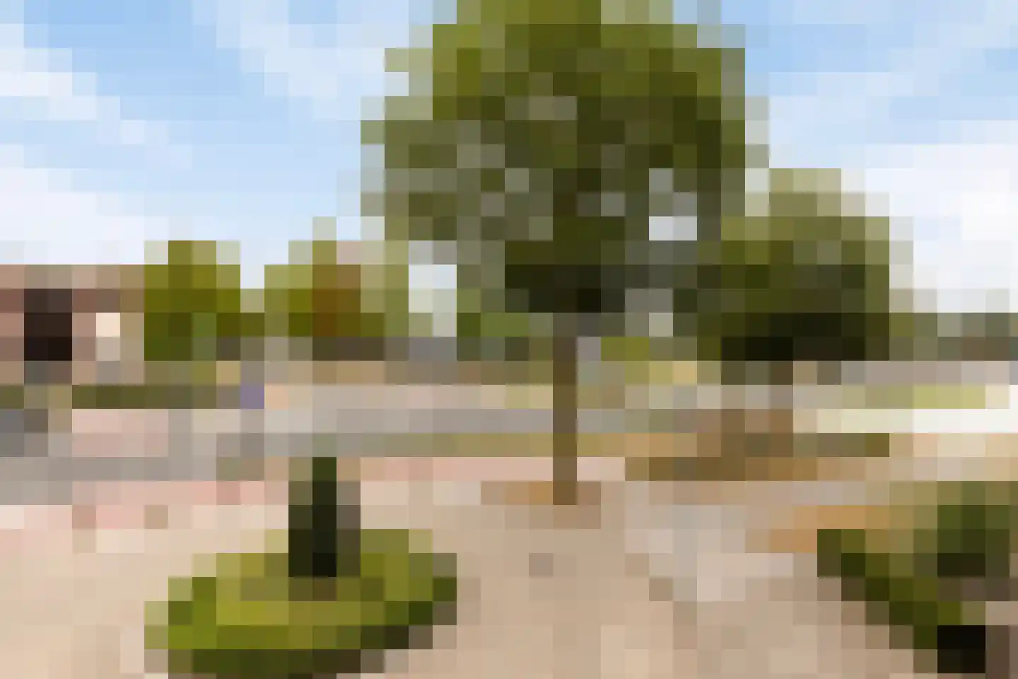 Velmolenweg 187 Uden thumbnail 32