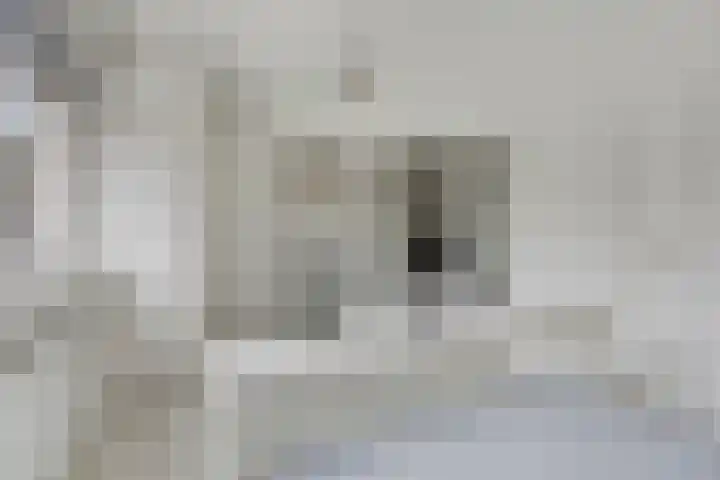 Velmolenweg 31 Uden thumbnail 9
