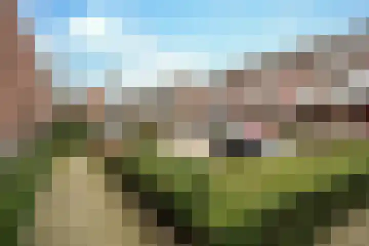 Velmolenweg 59 Uden thumbnail 4