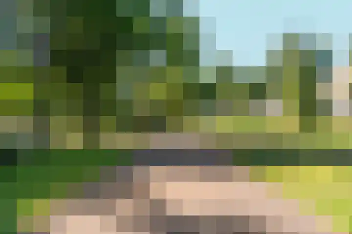 Velperbuitensingel 13 B Arnhem thumbnail 18