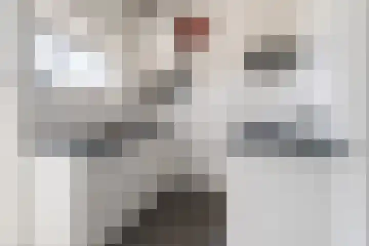 Velperbuitensingel 13 B Arnhem thumbnail 8