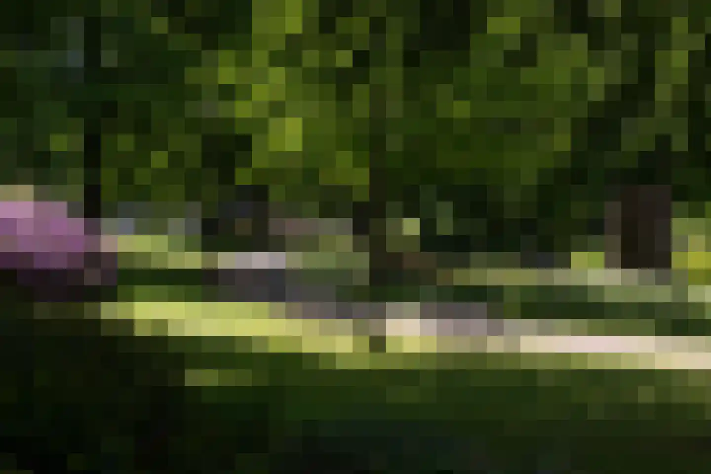 Velperbuitensingel 13 C Arnhem thumbnail 39