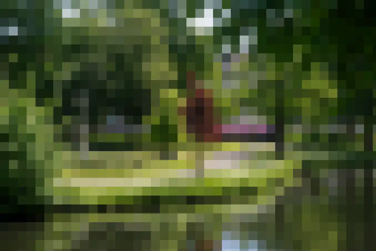 Velperbuitensingel 13 C Arnhem thumbnail 41