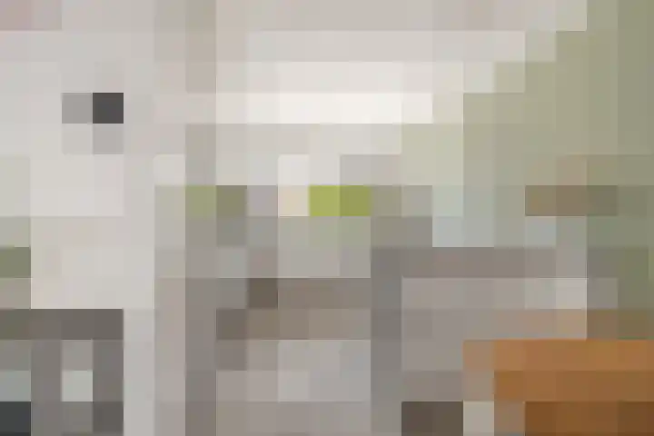 Velperpoort 26 Nieuw-Vennep thumbnail 4