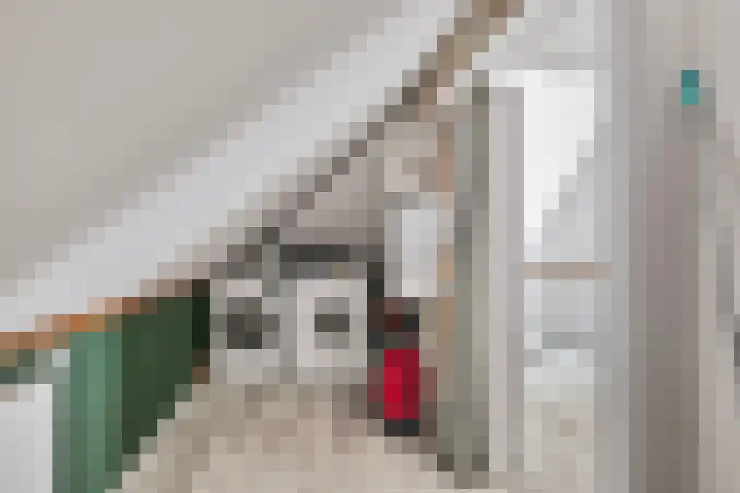 Velperpoortslangstraat 9 3 Arnhem thumbnail 14