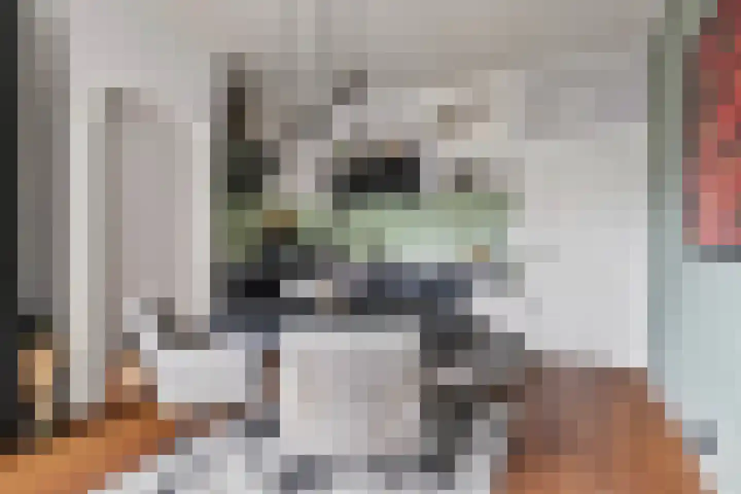 Velperpoortslangstraat 9 3 Arnhem thumbnail 17