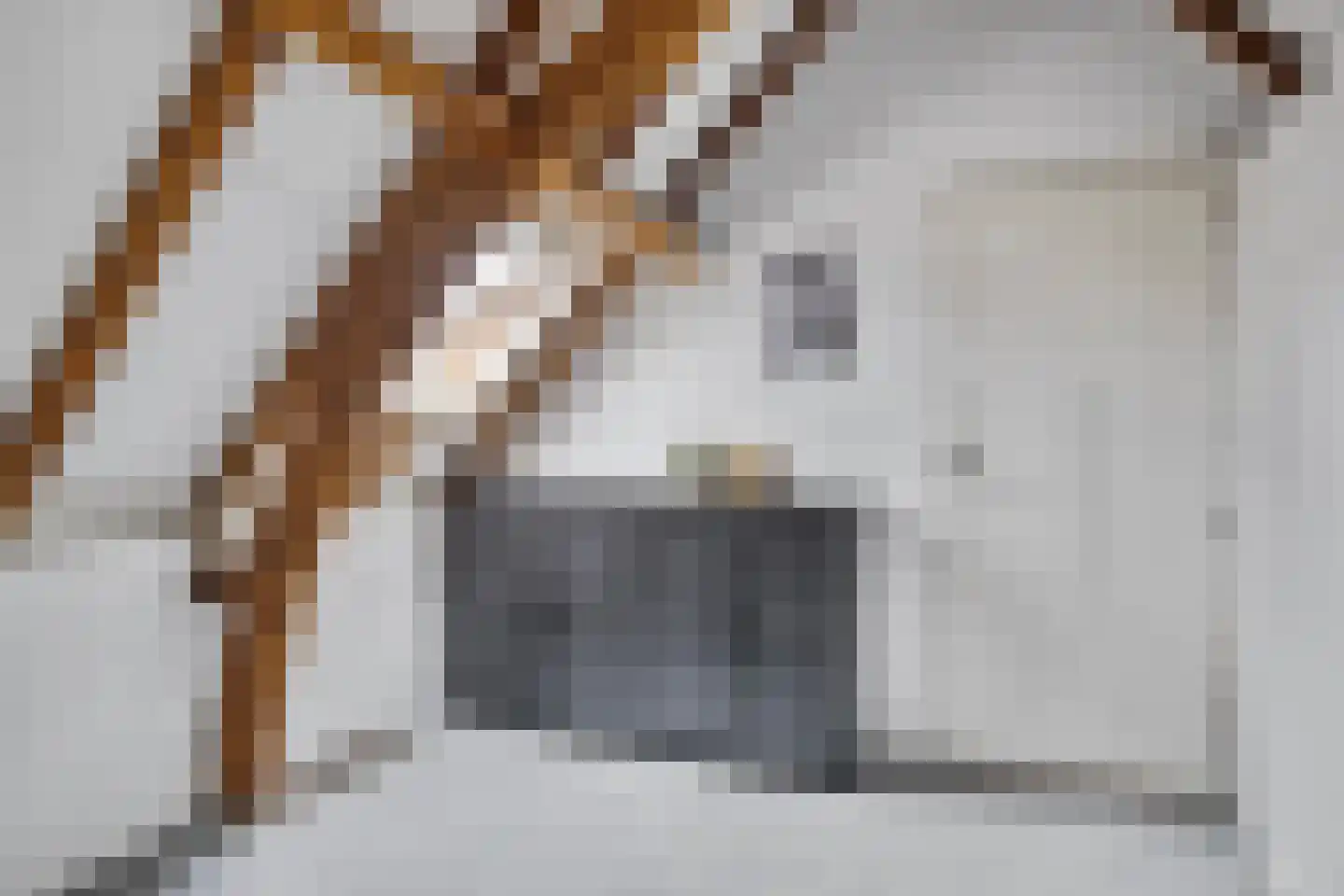 Velperpoortslangstraat 9 3 Arnhem thumbnail 27