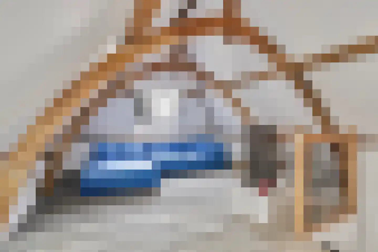 Velperpoortslangstraat 9 3 Arnhem thumbnail 4