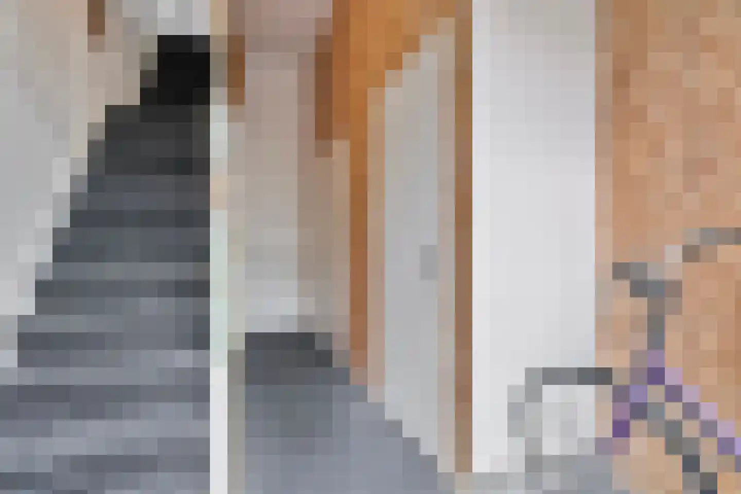 Velperpoortslangstraat 9 3 Arnhem thumbnail 9