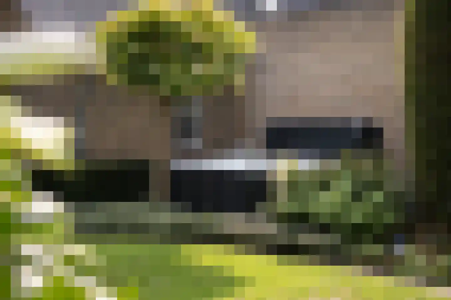 Velperweg 131 Arnhem thumbnail 26