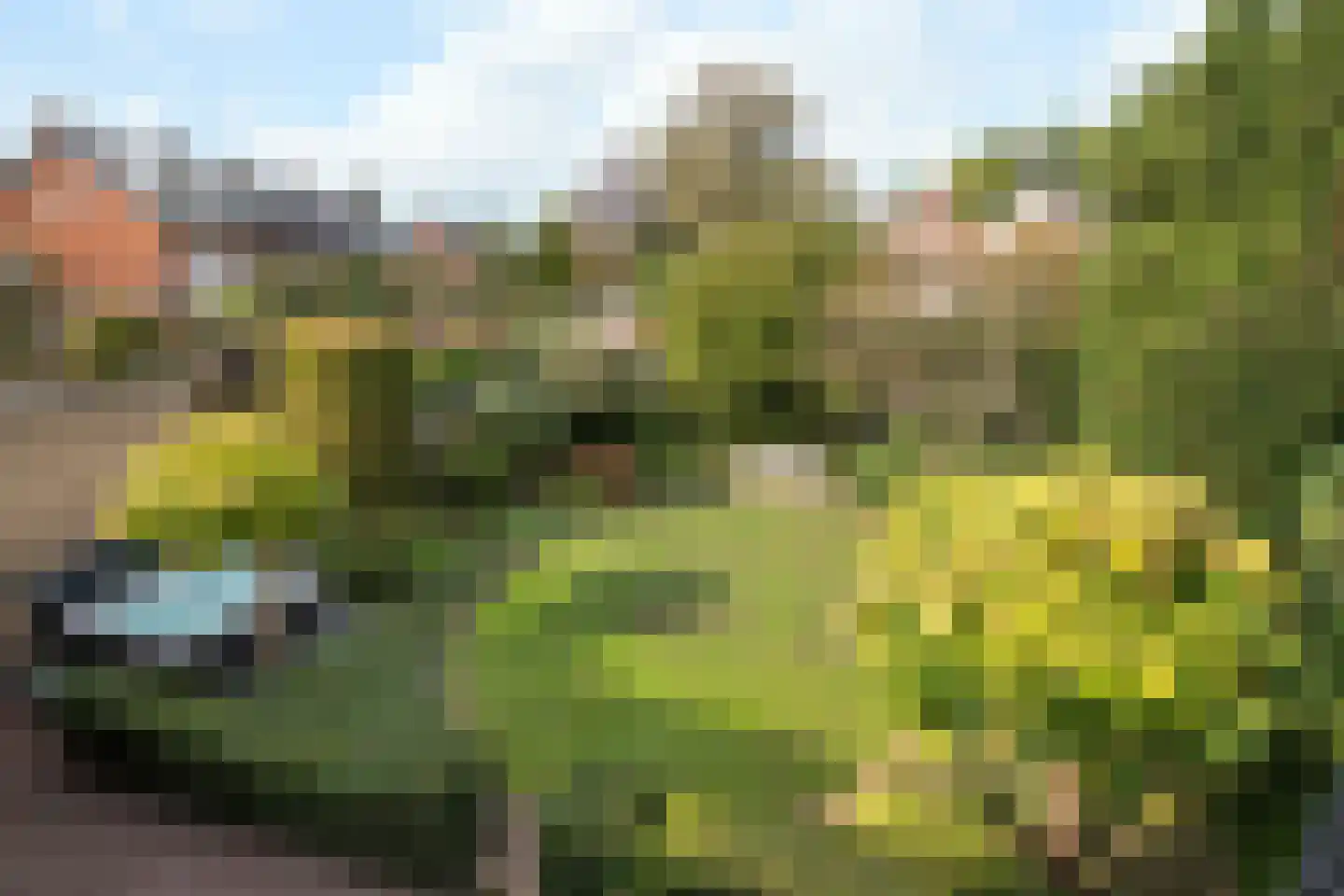 Velperweg 131 Arnhem thumbnail 34