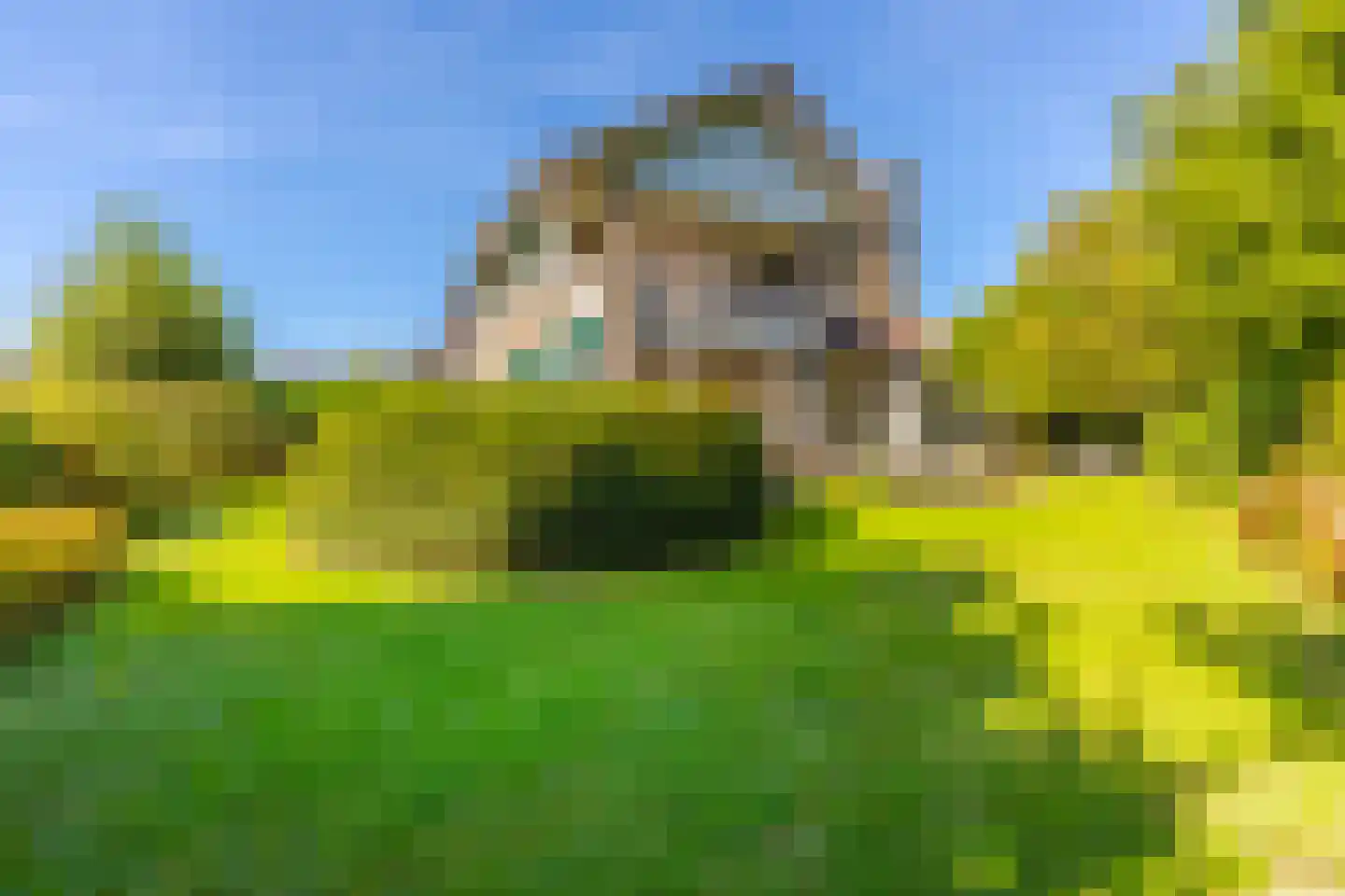Velperweg 135 A Arnhem thumbnail 28