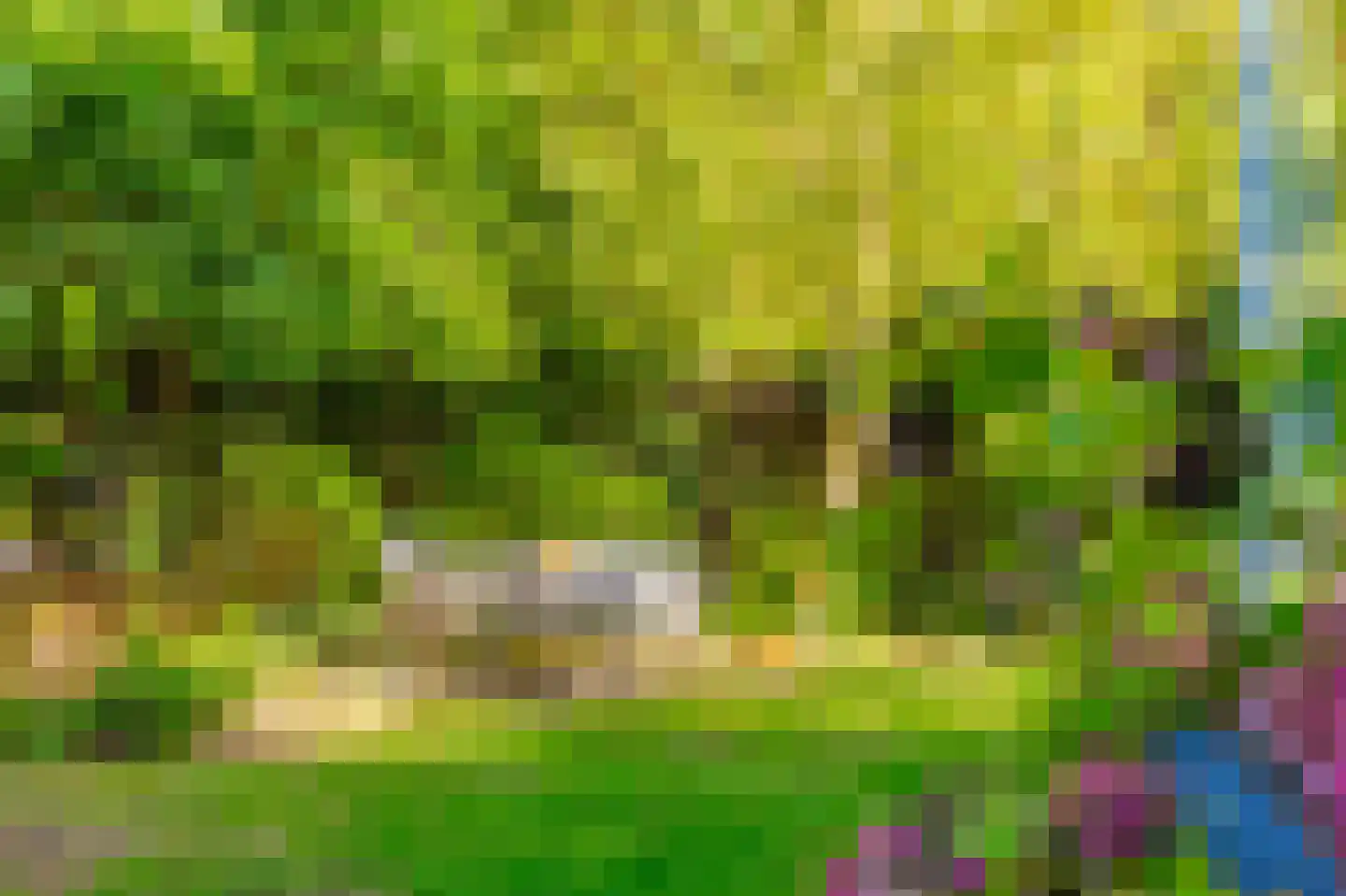 Velperweg 135 A Arnhem thumbnail 30