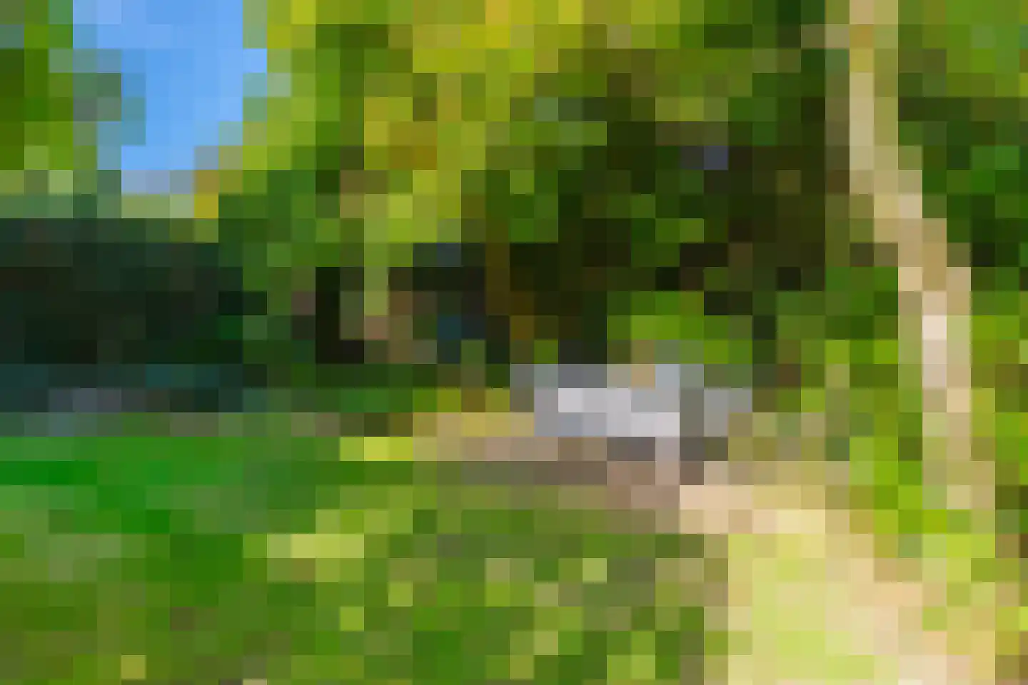 Velperweg 135 A Arnhem thumbnail 31
